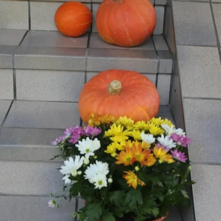 Apartment Strauss Ossiach