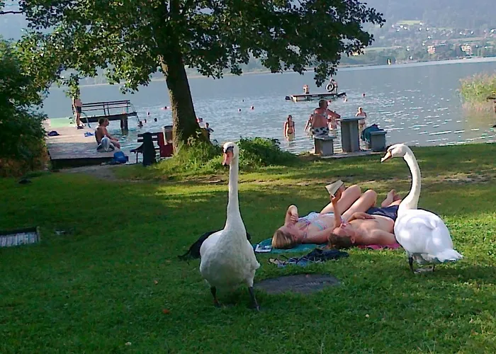 Appartement Strauss Ossiach