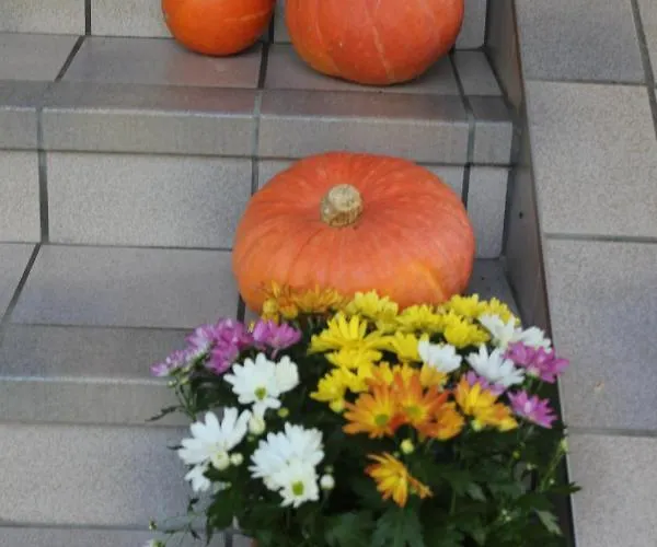 Appartement Strauss Ossiach